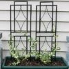 Sunnydaze Decor Sunnydaze Contemporary Metal Wire Garden Trellis For Climbing Plants And Flowers - 30" H - Black - 2-Pack