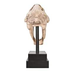 Design Toscano Saber-toothed Tiger Skull Artifact -Crosley Sales Store GUEST 58d189da c055 4fcb 8da8 441de194c8df