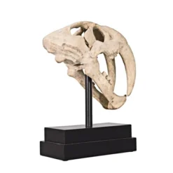Design Toscano Saber-toothed Tiger Skull Artifact -Crosley Sales Store GUEST 651c75ee c7be 4998 992a 52032c4c59cd