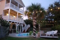 Novelty Lights Edison Outdoor String Lights With 15 Suspended Sockets Black Wire 48 Feet -Crosley Sales Store GUEST 9501d585 9718 4e5e a196 c051c3ff3188