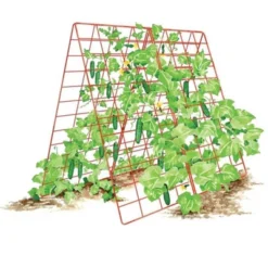 Deluxe Cucumber Trellis -Crosley Sales Store GUEST 9bdaecf6 347d 48c6 950d 2fd9b882c806