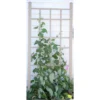 66" Cottage Vinyl Trellis - White - Dura-Trel