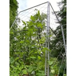 Gardener's Supply Company Chicken Wire Pea Trellis For Climbing Plants | Multi-Use Heavy Duty Outdoor Garden Peas, Tomato, Cucumber Plant Support | -Crosley Sales Store GUEST ab7477bf 9d33 45a3 9b47 25a12d6b9070
