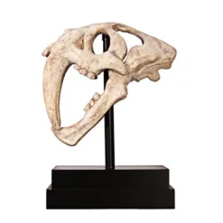 Design Toscano Saber-toothed Tiger Skull Artifact -Crosley Sales Store GUEST afc12a0f a18f 4a1f 8094 a07a1aa00ca2