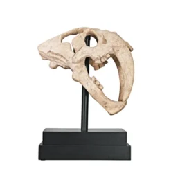 Design Toscano Saber-toothed Tiger Skull Artifact -Crosley Sales Store GUEST ce58380d 6f39 432e 9072 3fbfe878868e
