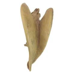 Design Toscano Legend Of The Cambridge Hopping Gargoyle Sculpture -Crosley Sales Store GUEST debc7935 04c0 417c 9a38 14257e5442d2