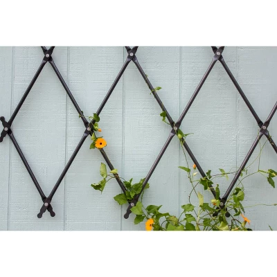 Achla Designs 43" Traditional Wall Mounted Lattice Iron Garden Trellis Graphite Powder Coat Finish 5 Achla Designs 43" Traditional Wall Mounted Lattice Iron Garden Trellis Graphite Powder Coat Finish - Image 5